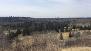 Meet your Posher, Idiris